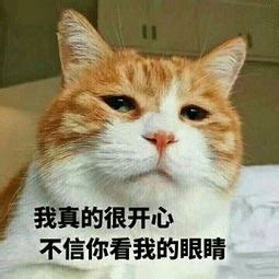 你很开心吗图片