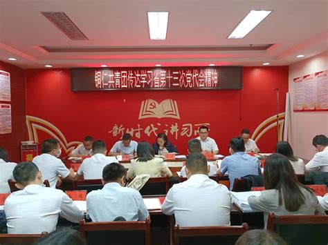 铜仁市委老干部局召开党史学习教育专题组织生活会