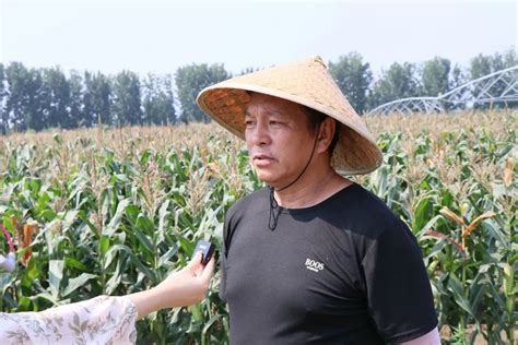 玉米说：连续两年做对照 乡亲都夸拥民好(续)-原河北农民报官网