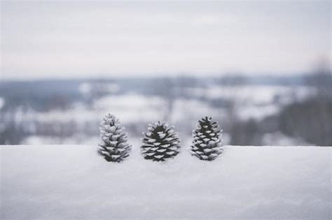 描写冬天的诗歌,冬天的现代,冬天的_大山谷图库