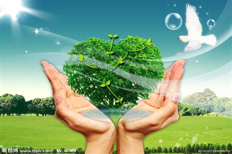 良好的生态环境是最普惠的民生福祉，践行绿色发展__财经头条
