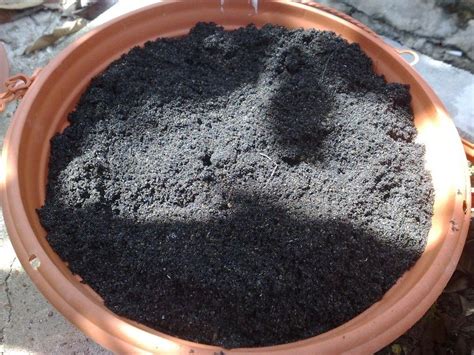 8种给土壤消毒方法，土壤消毒有哪些具体方法|admin_人人点