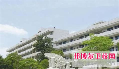 2023阳江民办护理专业学校有哪些 阳江民办护理专业学校名单一览表_邦博尔卫校网