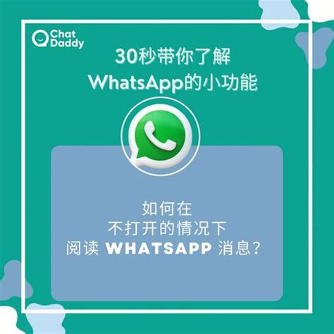 WhatsApp最全开发客户技巧，收藏一篇就够了_大数跨境｜跨境从业者专属的媒体平台
