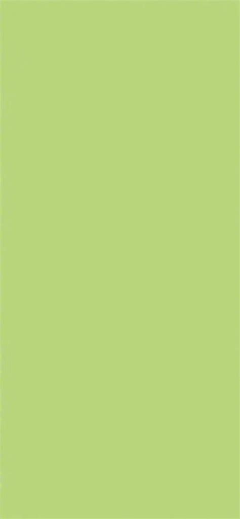 绿色纯色质感背景_高清JPG图片5设计素材_墨鱼部落格