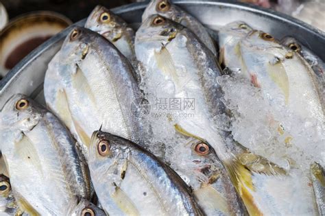 在传统渔业市场出售海食鱼O高清图片下载-正版图片506073549-摄图网