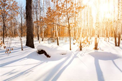 冬天的雪景，小村庄里有房子高清摄影大图-千库网