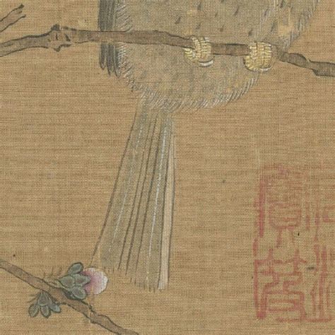 腊梅山禽图图片