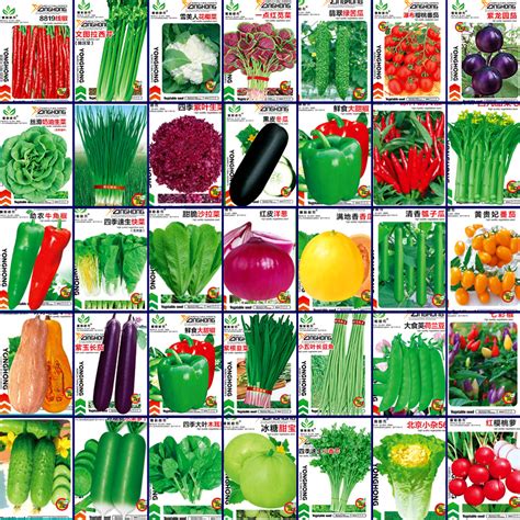 18包种子套餐 水培蔬菜无土栽培种子 生菜黄瓜番茄秋葵空心菜菜籽-阿里巴巴