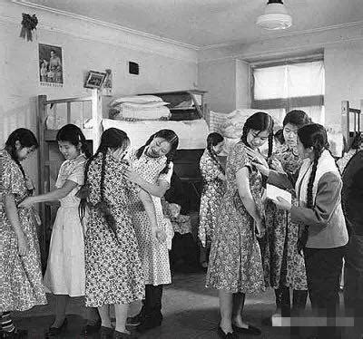 布拉吉连衣裙图片