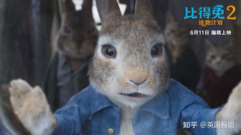 年度最解压电影！英国最火兔兔119岁“高龄”，却萌翻全球 - 知乎