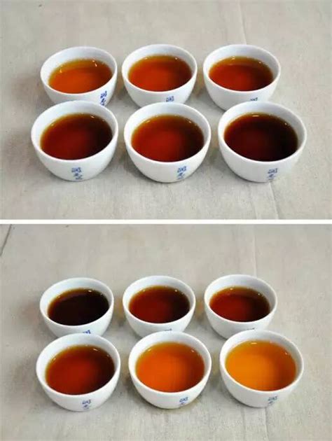宫廷普洱茶的特点-润元昌普洱茶网