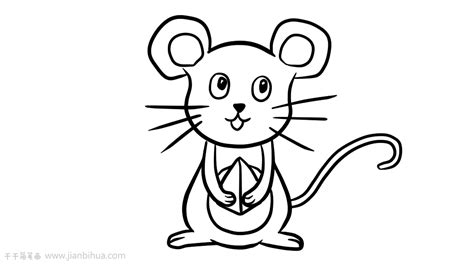 老鼠简笔画图片大全_陆地动物