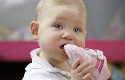 怎么锻炼宝宝的咀嚼能力 训练宝宝咀嚼有什么方法 _八宝网
