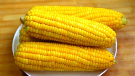 2022河北干玉米价格多少钱一斤？ - 惠农网