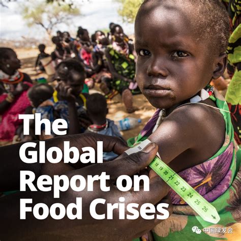 全球粮食危机加剧 粮食是人类生存的“根本”，大家应该也看到了，在2020年的时候，由于东非蝗灾的问题，导致全球出现了“粮食危机”的现状，并 ...