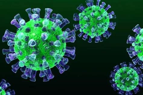 新型冠状病毒感染后的哪种情况，有可能达到自愈？|新冠肺炎_新浪新闻