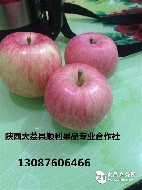 陕西冰糖心红富士苹果 陕西渭南-食品商务网