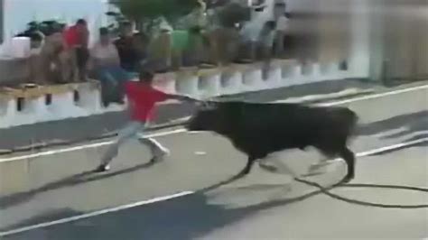 西班牙斗牛搞笑视频 搞笑