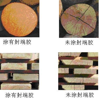 怎么防止和处理木材的开裂与变形 - 木材专题 - 木材圈