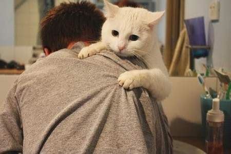 情侣养猫凭什么会被领养圈歧视？_腾讯视频