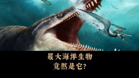 巨齿鲨vs沧龙怎么画,苍龙,天敌_大山谷图库