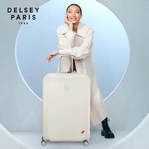 DELSEY怎么样、好不好？关于DELSEY品牌介绍与走势 - 牌子网