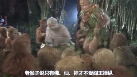 西游记01：猴王出世_腾讯视频