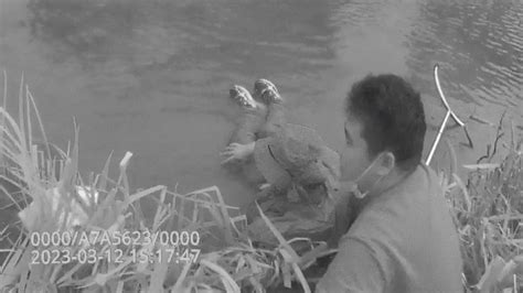 女子不慎失足掉入河中，20秒生死一线民警跳入河水成功救起_凤凰网视频_凤凰网