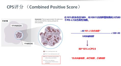 cps评分和tps评分_Keytruda获批成首个晚期食管癌PD1疗法，CPS为判读标准_weixin_39585761的博客-CSDN博客