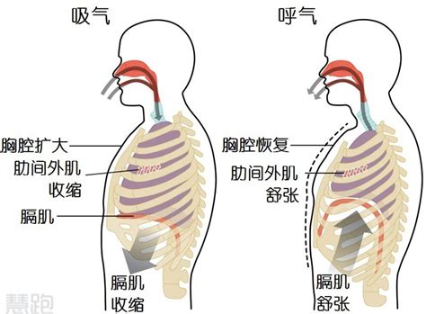 中播网 —— 如何改变发声习惯？