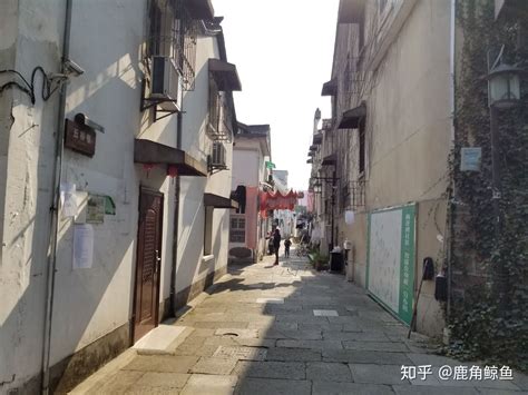 打卡韵味上城|远离市井喧嚣的五柳巷 成为杭州文艺青年热衷的打卡地