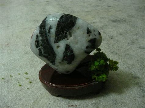 国宝熊猫 - 石馆 - 国石网