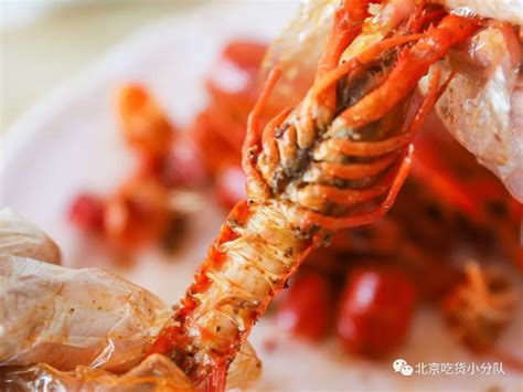 龙虾鲜活,鲜龙虾,鲜小龙虾_大山谷图库
