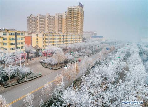 Rime scenery in Yuncheng City, north China