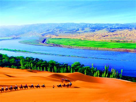 中卫沙坡头—黄河连大漠-中卫旅游攻略-游记-去哪儿攻略