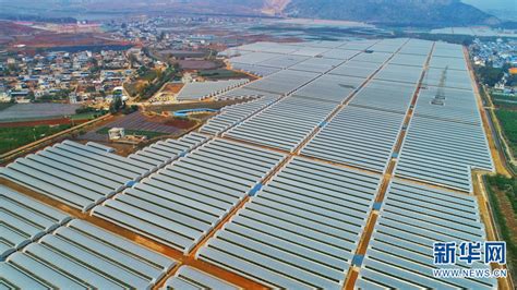 云南红河：以工业化理念 聚力发展高原特色现代农业