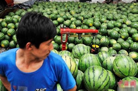 西瓜价格持续上涨，创近几年来新高！ | 国际果蔬报道