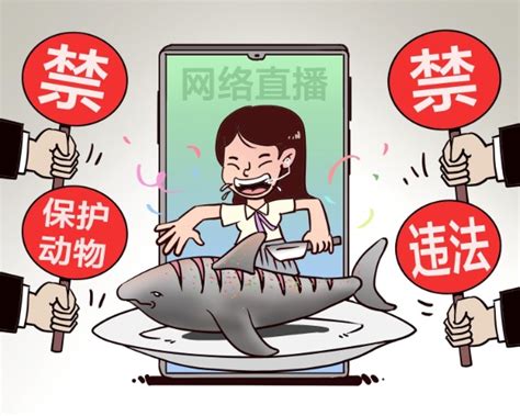 网红疑用濒危大白鲨做美食 四川南充警方已介入_手机新浪网