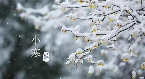 冬雪雪冬小大寒是什么意思 冬雪雪冬小大寒的意思_知秀网