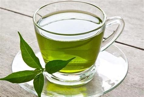自制绿茶饮料的做法_绿茶的制作与保存_绿茶说