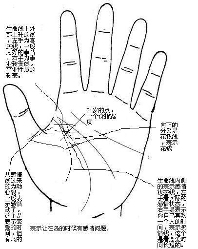 手相学中，事业线也叫成功线，以下几种特征有没有你的手纹