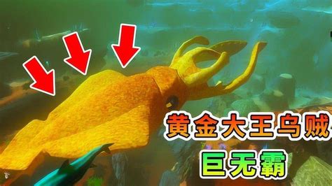 海底大猎杀：八爪鱼终极进化，东海一霸，黄金大王乌贼！