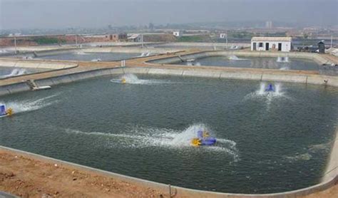 工厂循环水养殖系统 工厂化高密度循环水养殖系统
