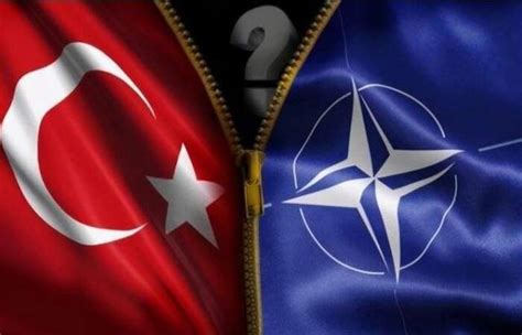 土耳其政客：土耳其或于数月内退出北约 - 国际日报