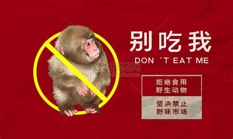 禁止交易拒绝食用保护野生濒危动物海报图片下载_红动中国