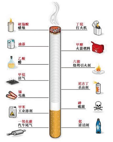 吸烟与被动吸烟的危害到底有多大？_烟草