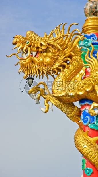 金子亚洲建筑学泰国的金龙雕像高清图片下载-正版图片307607018-摄图网