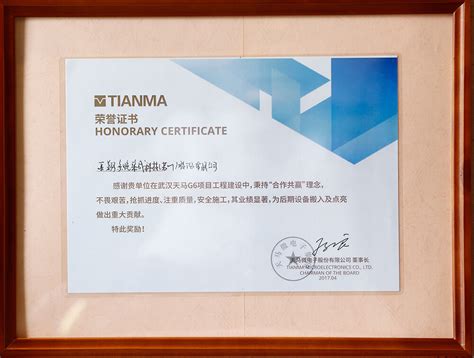 2017年武汉天马荣誉证书_亚翔系统集成科技（苏州）股份有限公司