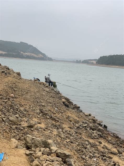 元洞水库钓鱼场_元洞水库钓鱼场地址_元洞水库钓鱼场电话 - 钓鱼之家